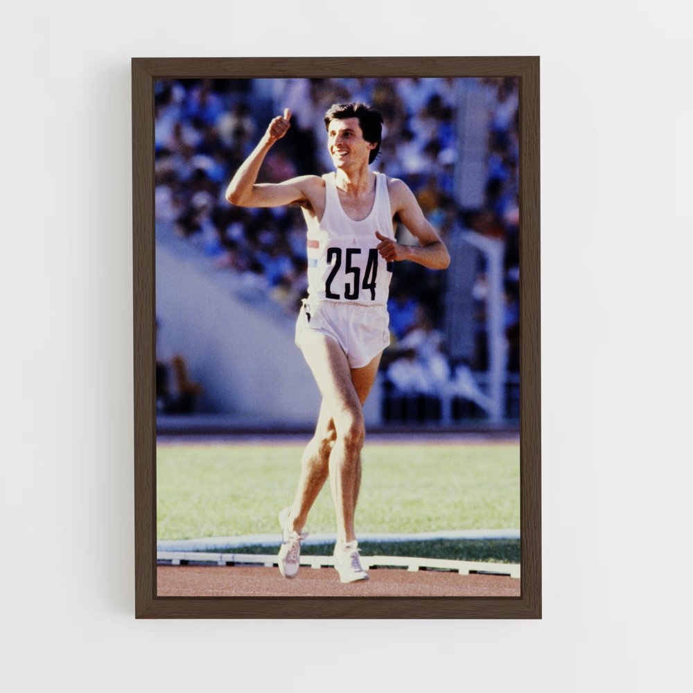 Poster Javelot en Action – affiche Athlétisme (vue 5)